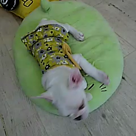 まったり～wの画像