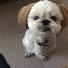 毎日大騒ぎの画像