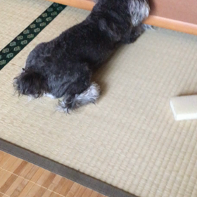 ナギさんの画像