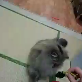 初めての動画投稿！！の画像