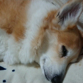 やっちまったーーー！！の画像