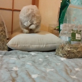 一度やると…の画像