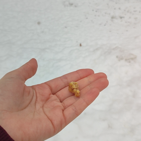 雪の降る冬には動物たちは愛情深くなるの画像