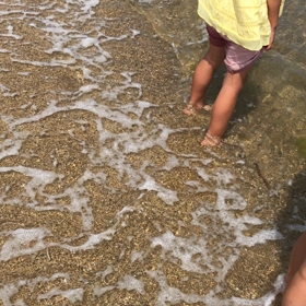 娘たちの海の画像