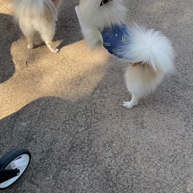 どう見えます？の画像