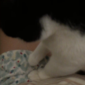 おもむろにの画像