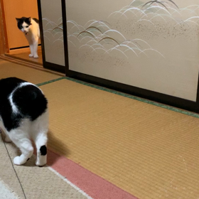 正しい箱の入り方の画像