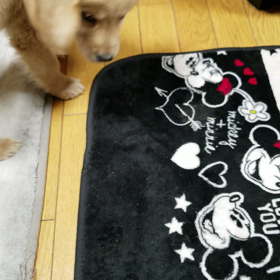 優河怪獣現れる(￣□￣;)!!の画像