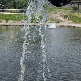 プチサーモンを放流しました。の画像