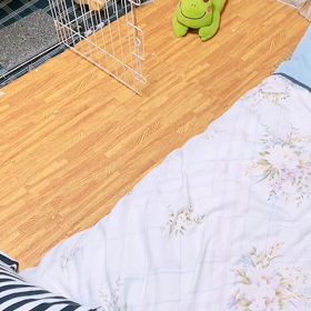 恋する乙女？の画像