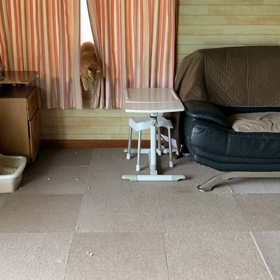 2023/09/09 今週のハナの画像