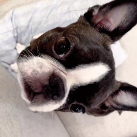 不毛な問いかけ…の画像