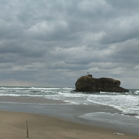 ─2019─新年の画像