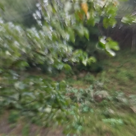 偶然、撮れました！の画像