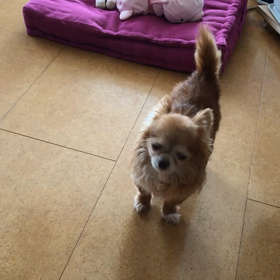 足がきき筋肉痛で❗️の画像