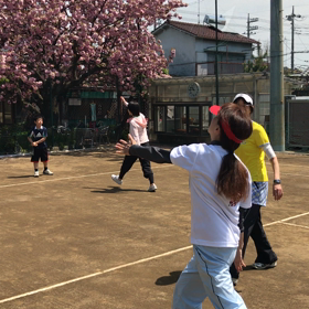 ピラティス動画の画像