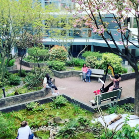 今、ご近所の皆さんに私ができること　-ハープ演奏-の画像