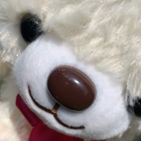 8月10日の気 になる、きになるぅ〜の画像