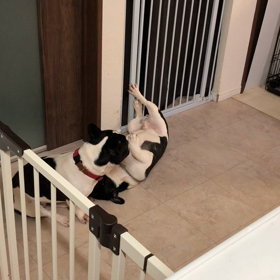 かあちゃんが一番の原因だった((+_+))の画像