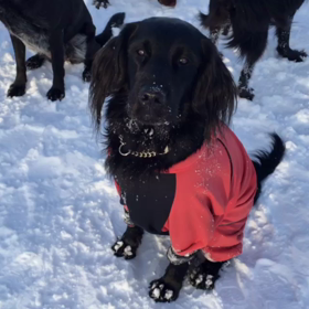 女子集合。の画像
