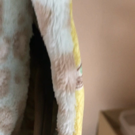 昨日の続き♡の画像