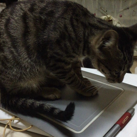 身だしなみは男のコの基本！の画像