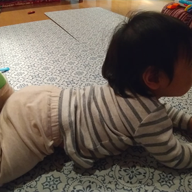 カメラ。の画像