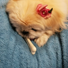 あたち不器用なんでつの画像