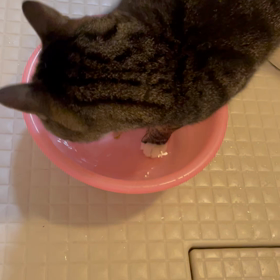 僕もアルバイトの画像