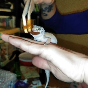 お客様は神様です〜♡の画像