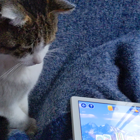 遊びたなの画像