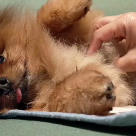 まったり動画 ＋ オンライン講座【追記あり】の画像