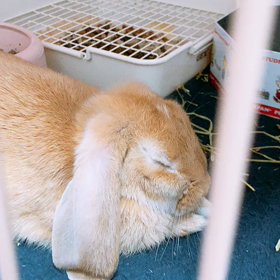 夢の世界の画像