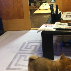 昔のネタで失礼します。動画編。の画像