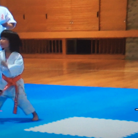 タイセイ、サエの板割りの画像