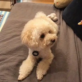 話題のおやつの画像