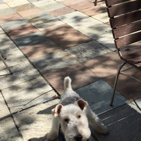 晴天に恵まれて音出し中の画像