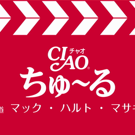 ♪ちゅーる♪の画像