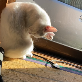 天国と地獄の画像