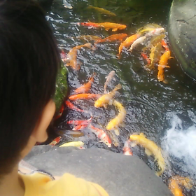 ３時起きの画像