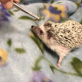 ちょっとーー(｡-_-｡)の画像