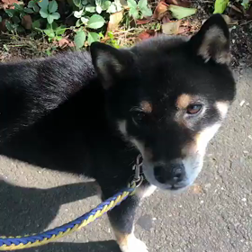 思い出しました。の画像