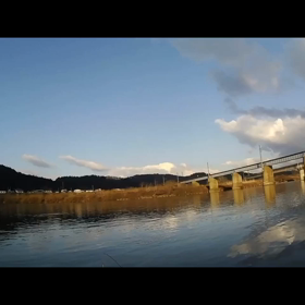 昨日のサクラマスの動画です^_^の画像