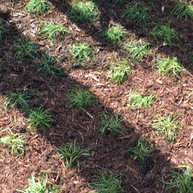 神戸にての画像