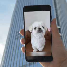 ペコちゃんの、こんなの作ってみました♡の画像