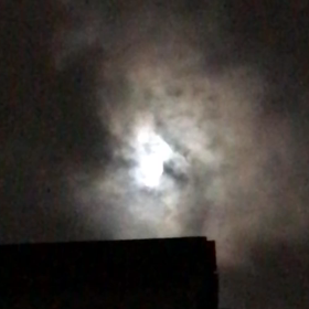 なんとか見ました！の画像