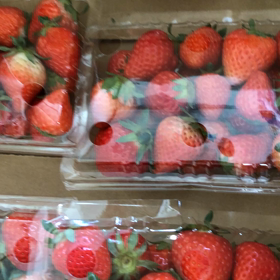 小林の苺の画像