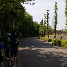 5/27 1000m④の画像