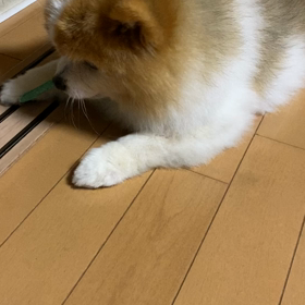 は、み、が、き、じょうずかなの画像