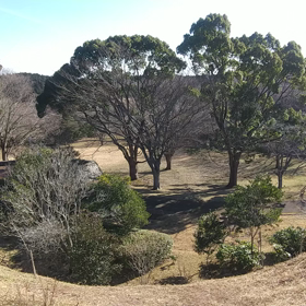 気まぐれに詩吟 ６回目「いくたびも」の画像